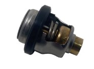 Thermostat  SUZUKI Marine