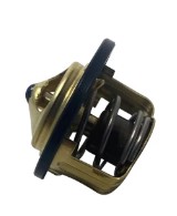 Thermostat  SUZUKI Marine