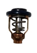 Thermostat  SUZUKI Marine