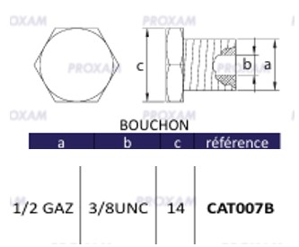CAT007B