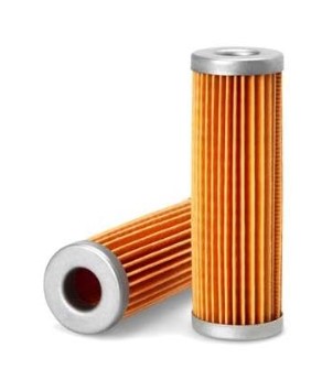 Filtre à gasoil pour moteur BETA MARINE - FLEETGUARD