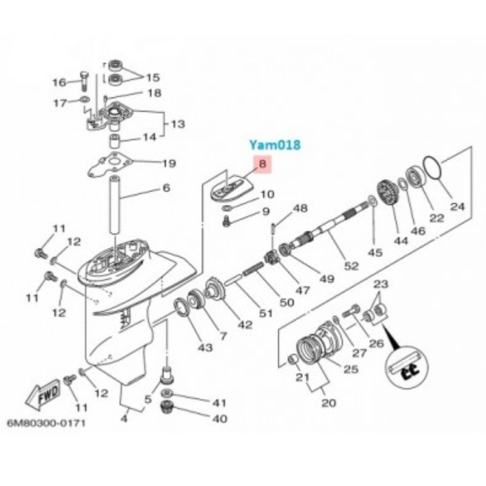 yam018-2-zoom
