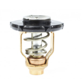 Thermostat - YAMAHA