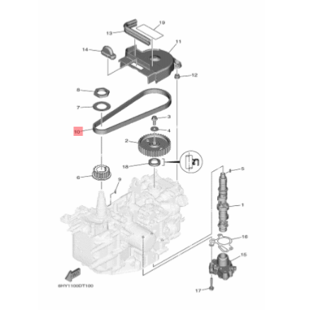 Courroie de distribution - YAMAHA