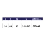 CAT007