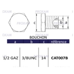 CAT007B
