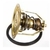 15791-zoom