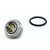 15580-zoom