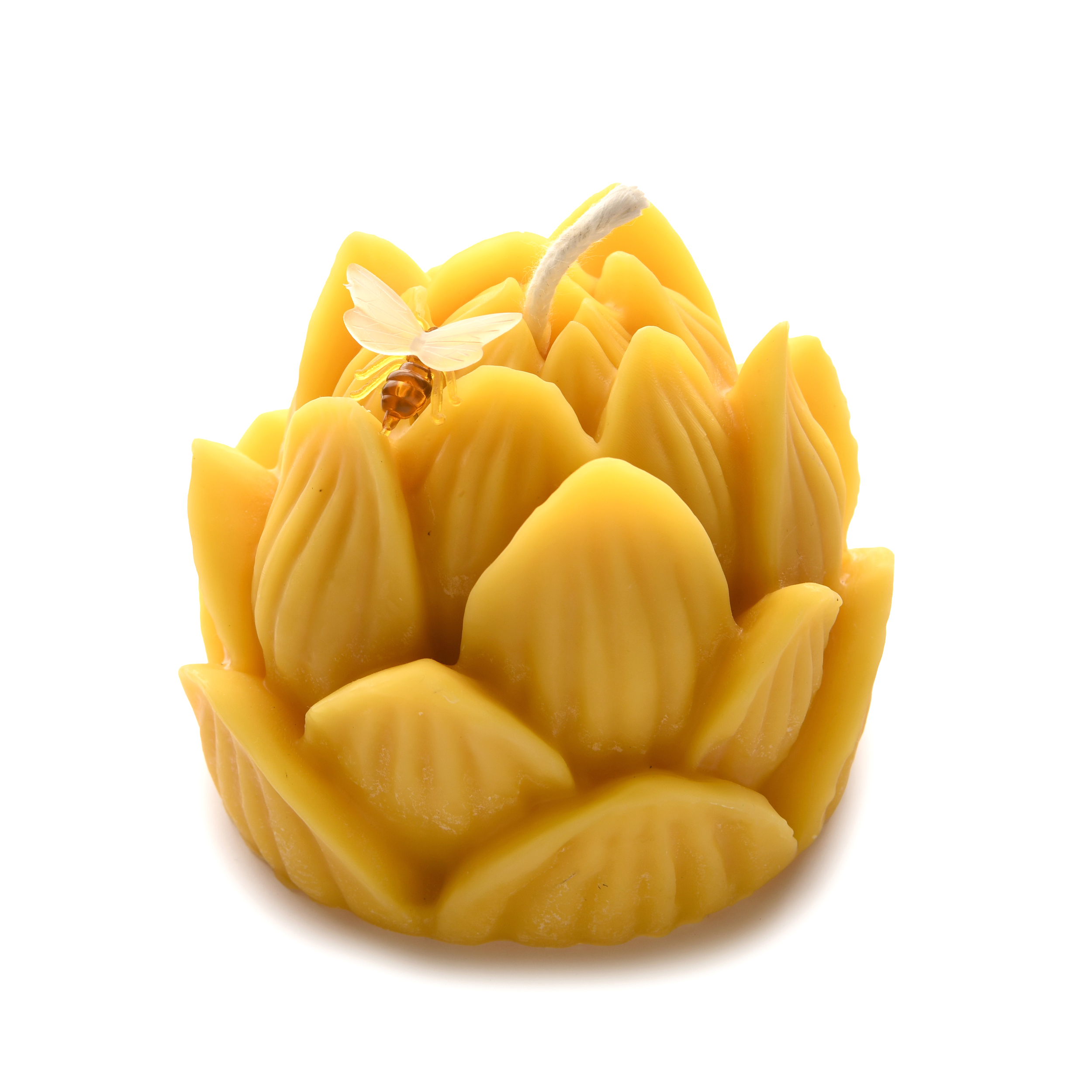 Nénuphar fermé vu haut