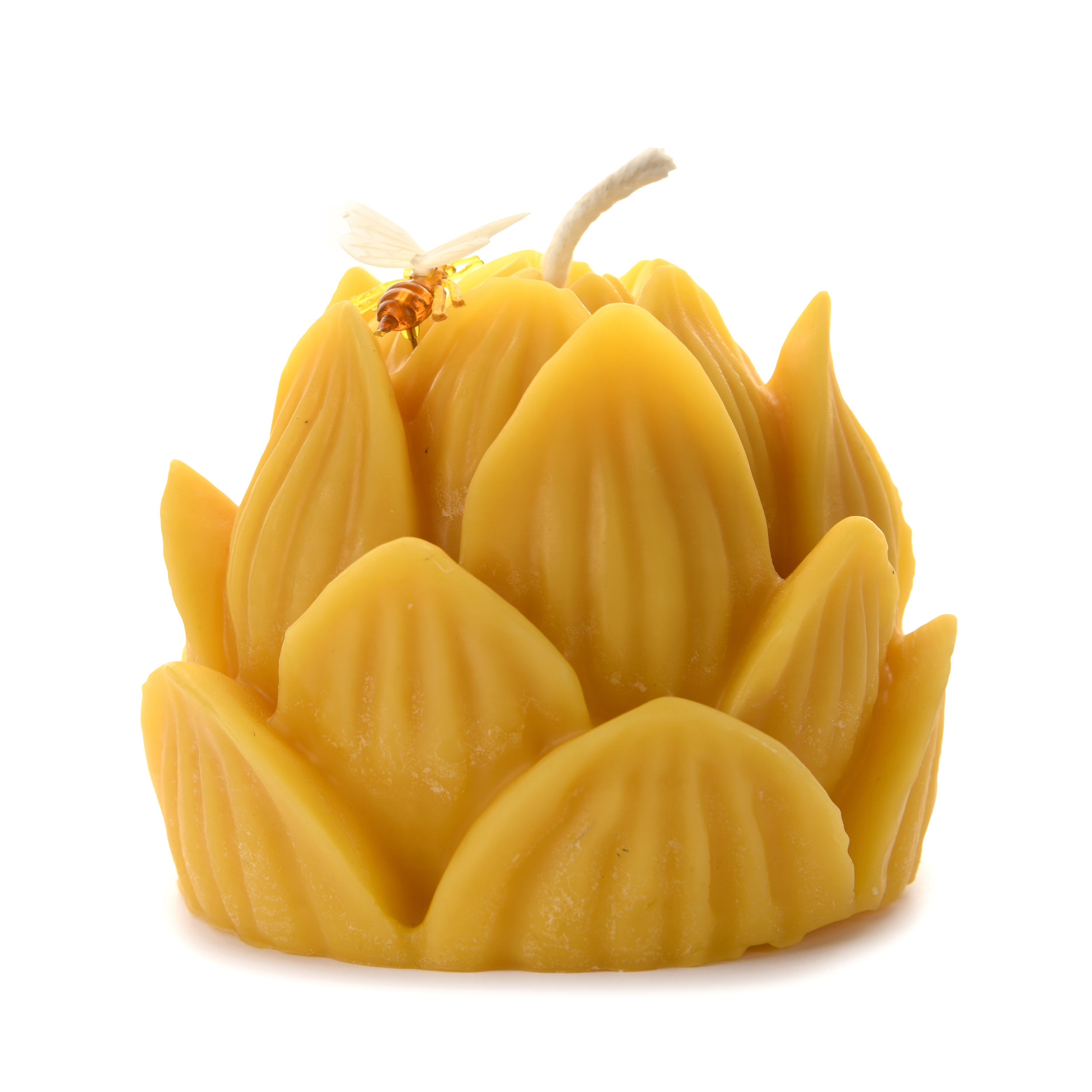 Nénuphar fermeé profil