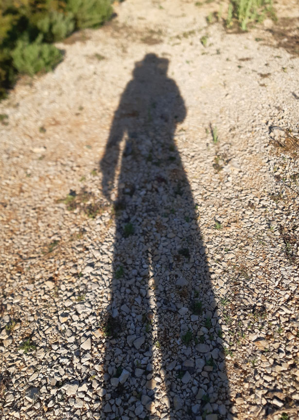 ruchers du renard photo 3