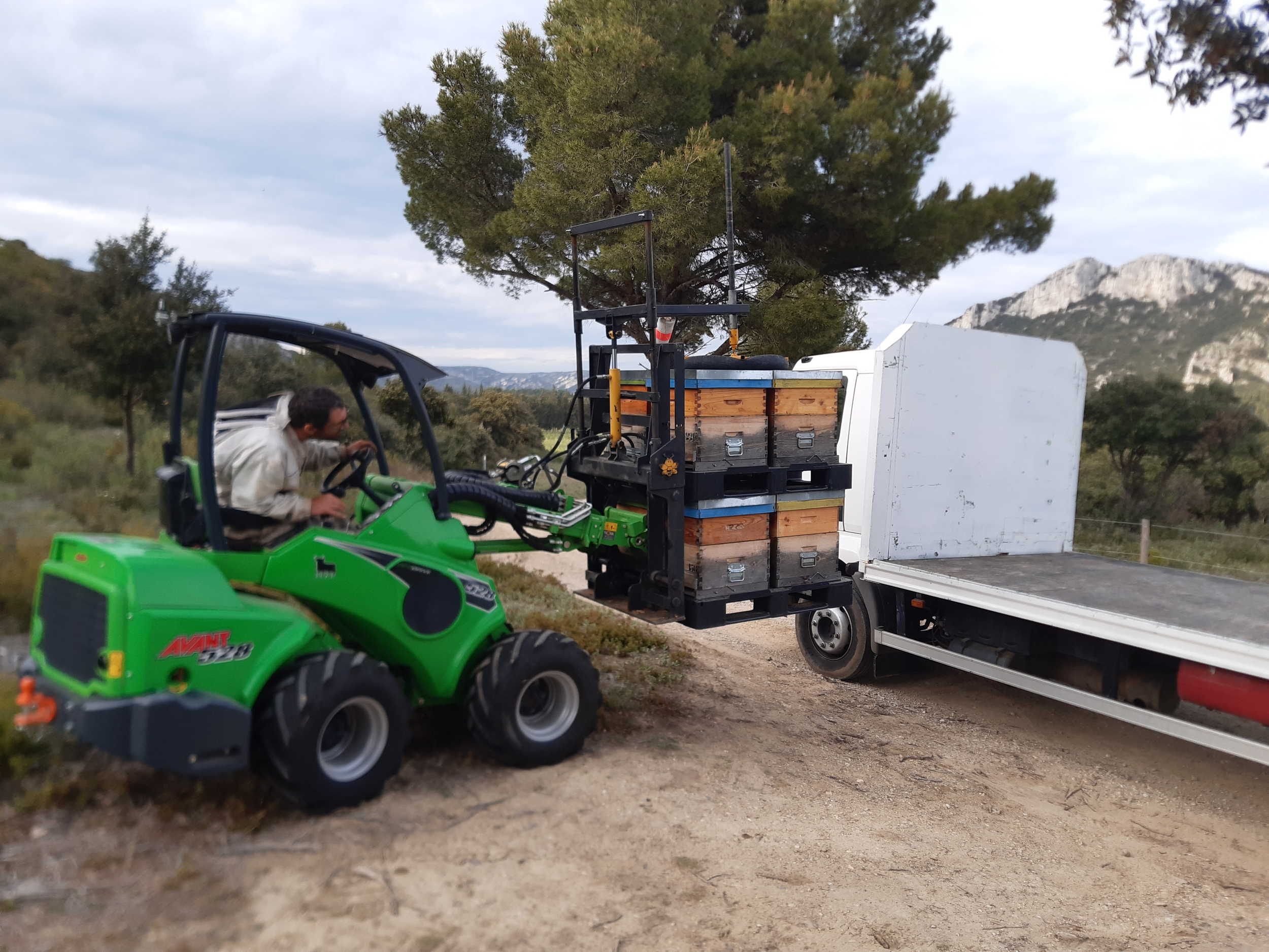 avant camion ruches
