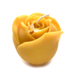 Tulipe vu haut