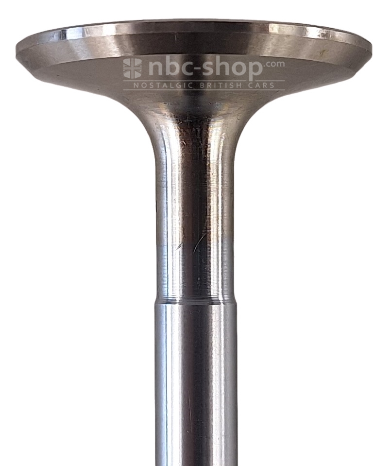 TMG10735 SOUPAPE ECHAPEMENT MG B RACE 36.6 nbc-shop 4