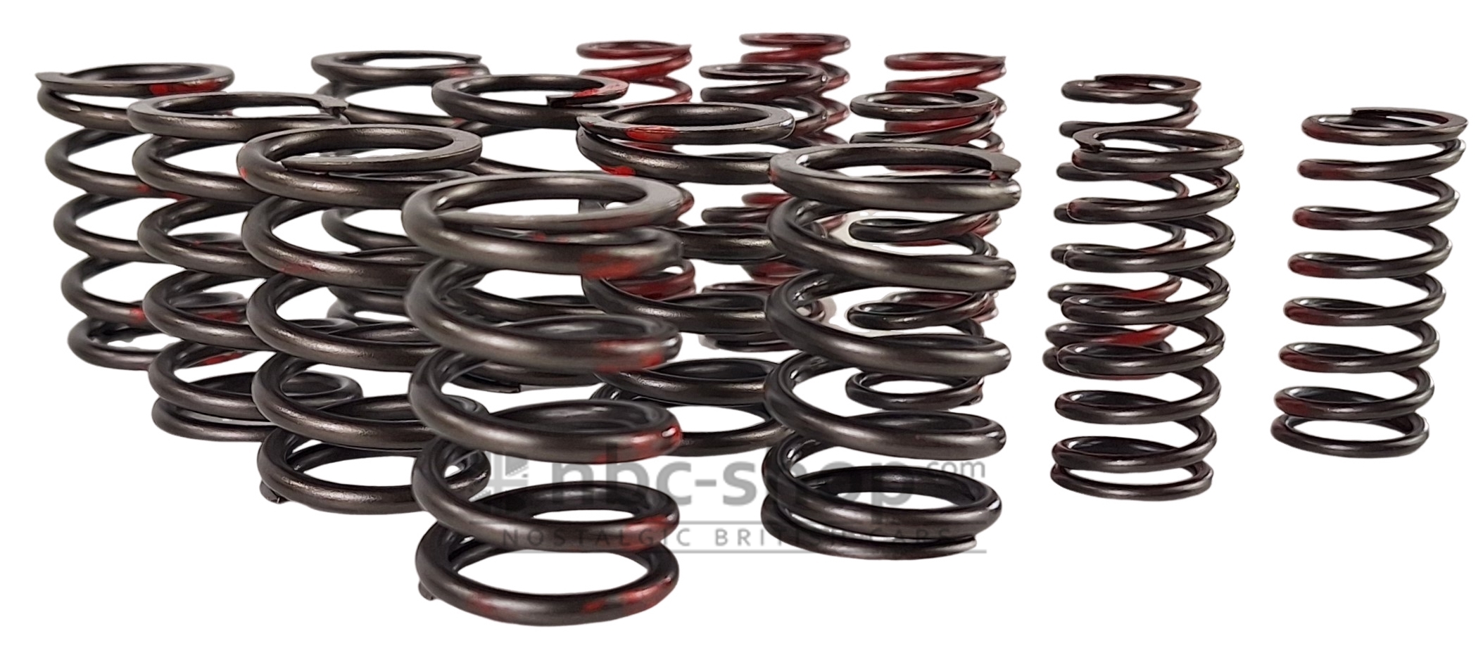 AEA401K KIT DE RESSORT DE CULASSE DOUBLE MINI 850-998-1098 nbc-shop 3