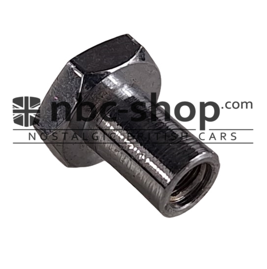 17H5385 ECROU BORGNE ECLAIRAGE DE PLAQUE POUR MINI nbc-shop 2