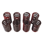 12H3352K KIT DE RESSORT DE SOUPAPES MGB 18V nbc-shop 1
