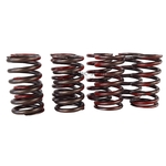 12H3352K KIT DE RESSORT DE SOUPAPES MGB 18V nbc-shop 3