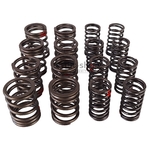 TT1107 KIT DE RESSORT DE CULASSE RENFORCE TRIUMPH TR2 TR3 TR4 nbc-shop 1