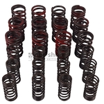 TT1207 KIT DE RESSORT DOUBLE RENFORCE POUR TRIUMPH TR5 TR6 nbc-shop 1
