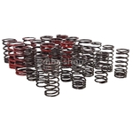 TT1207 KIT DE RESSORT DOUBLE RENFORCE POUR TRIUMPH TR5 TR6 nbc-shop 3
