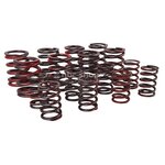 VS536 KIT DE RESSORT DOUBLE TRIUMPH SPITFIRE 1300-1500 nbc-shop 3