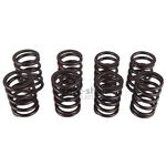 AEA311K KIT DE RESSORT DE CULASSE SPRITE MIDGET nbc-shop 1
