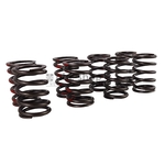 AEA311K KIT DE RESSORT DE CULASSE SPRITE MIDGET nbc-shop 3