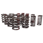 AEA401K KIT DE RESSORT DE CULASSE DOUBLE MINI 850-998-1098 nbc-shop 3
