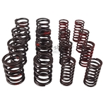 AEA401K KIT DE RESSORT DE CULASSE DOUBLE MINI 850-998-1098 nbc-shop 1