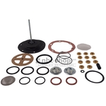 EPK300E KIT DE REPARATION DE POMPES A ESSENCE ELECTRIQUE nbc-shop 2 (1)