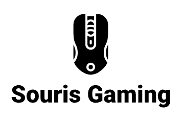 Souris-gaming.com