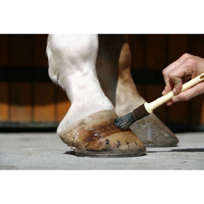 entretien des sabots du cheval 5 1 7 big