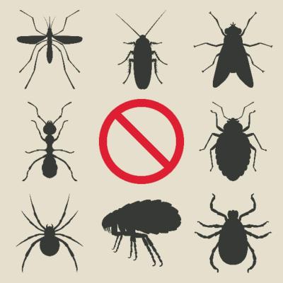 antiparasitaires-big