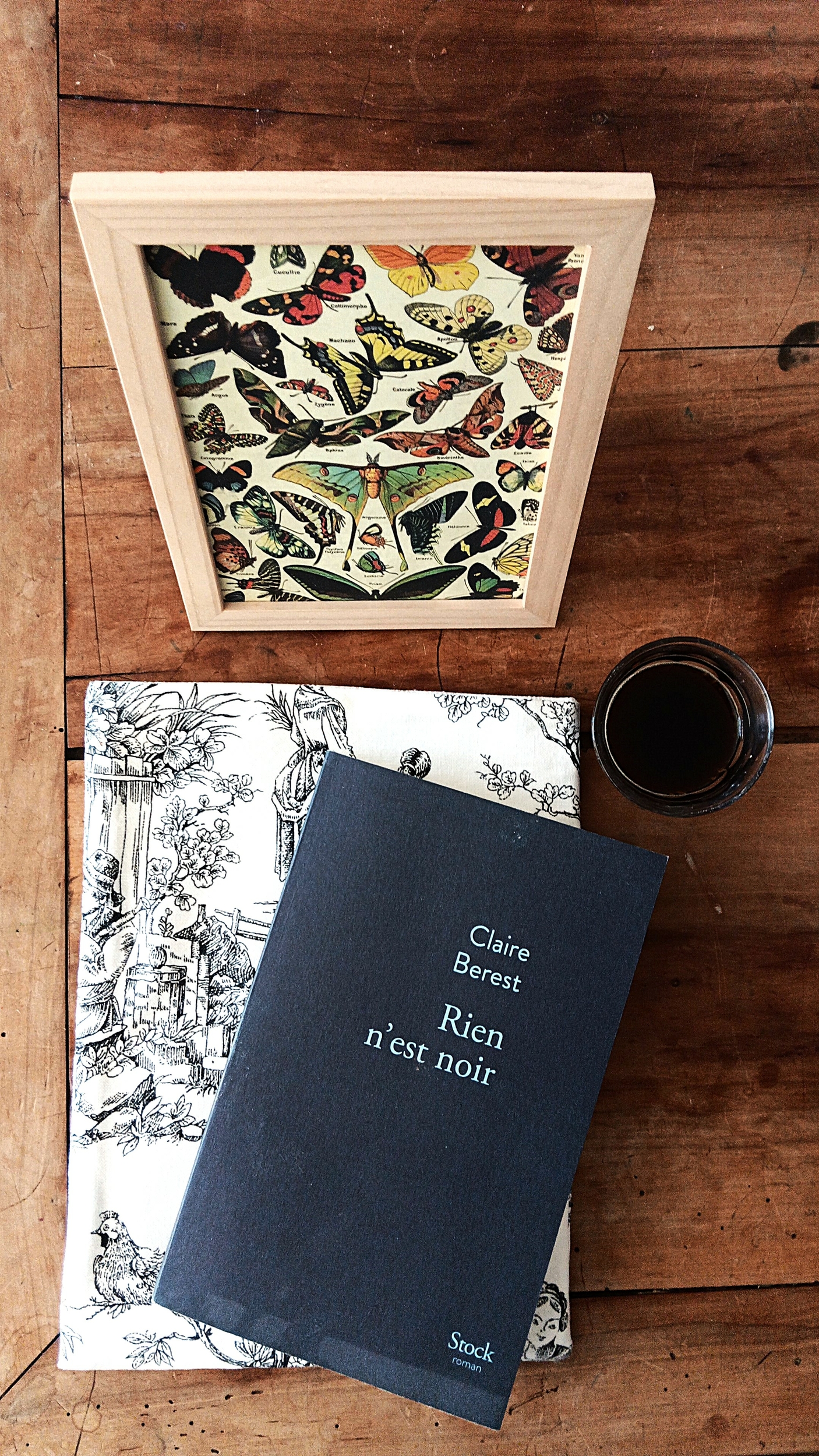 Pochette à livres toile de Jouy noire et roman Rien nest noir Claire Berest