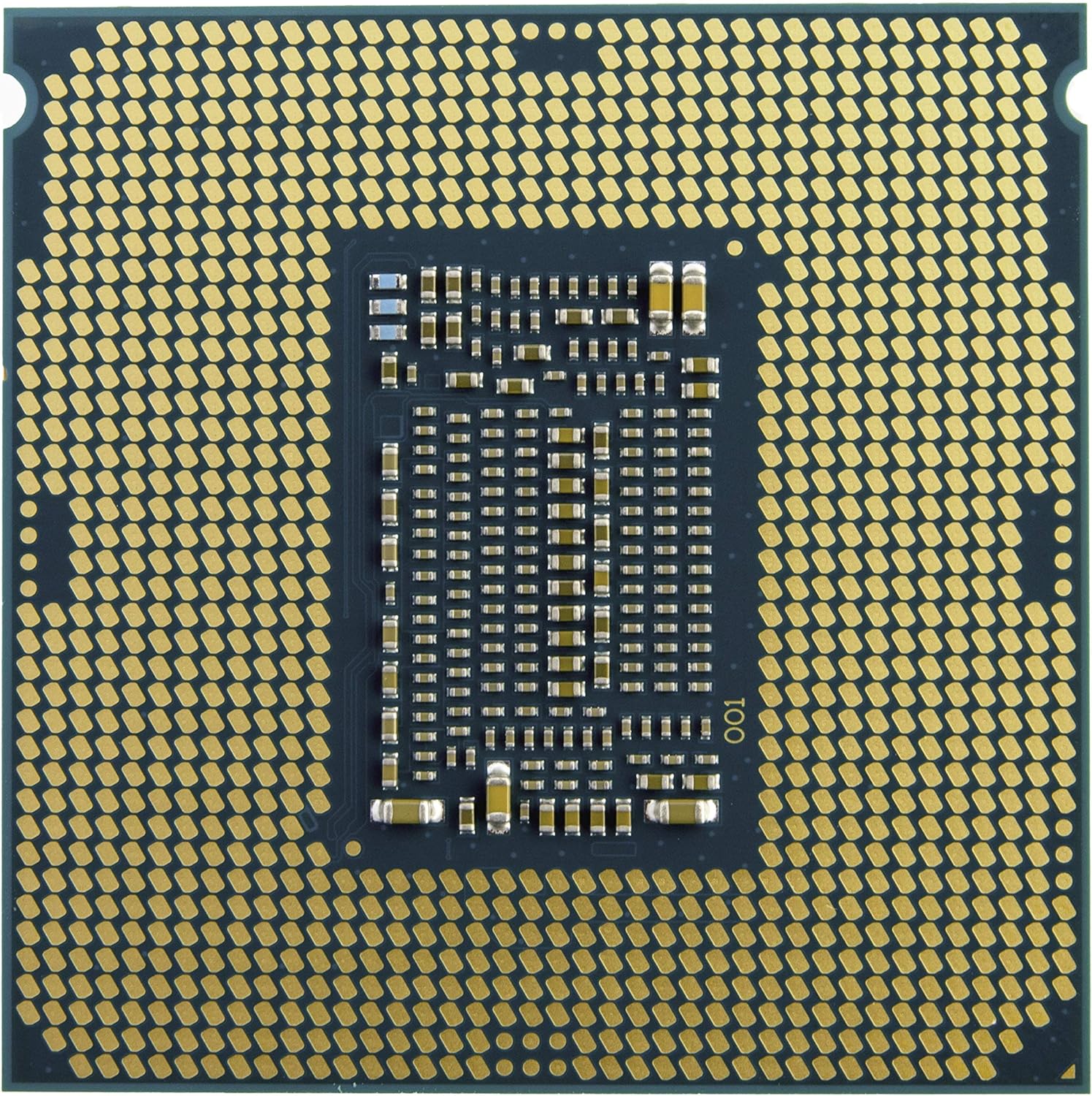 91vVMvWr0cL._AC_SL1500_