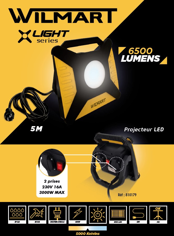 projecteur-led60w-6500lm-2prises-cable-810179 -1
