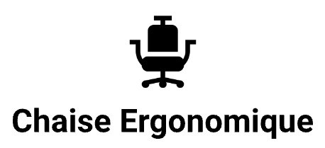 Les Chaises Ergonomiques - Les meilleures offres