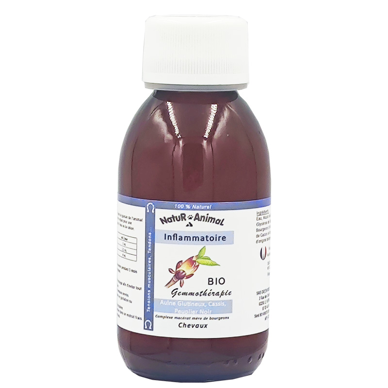 gemmo inflammation cheval bourgeon phyto