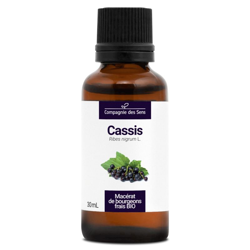 cassis-macerat-de-bourgeons-bio-30ml