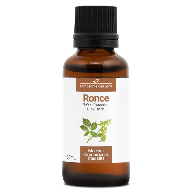 ronce-macerat-de-bourgeons-bio-30ml