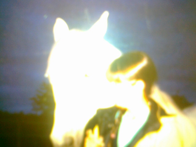 ari lumiere