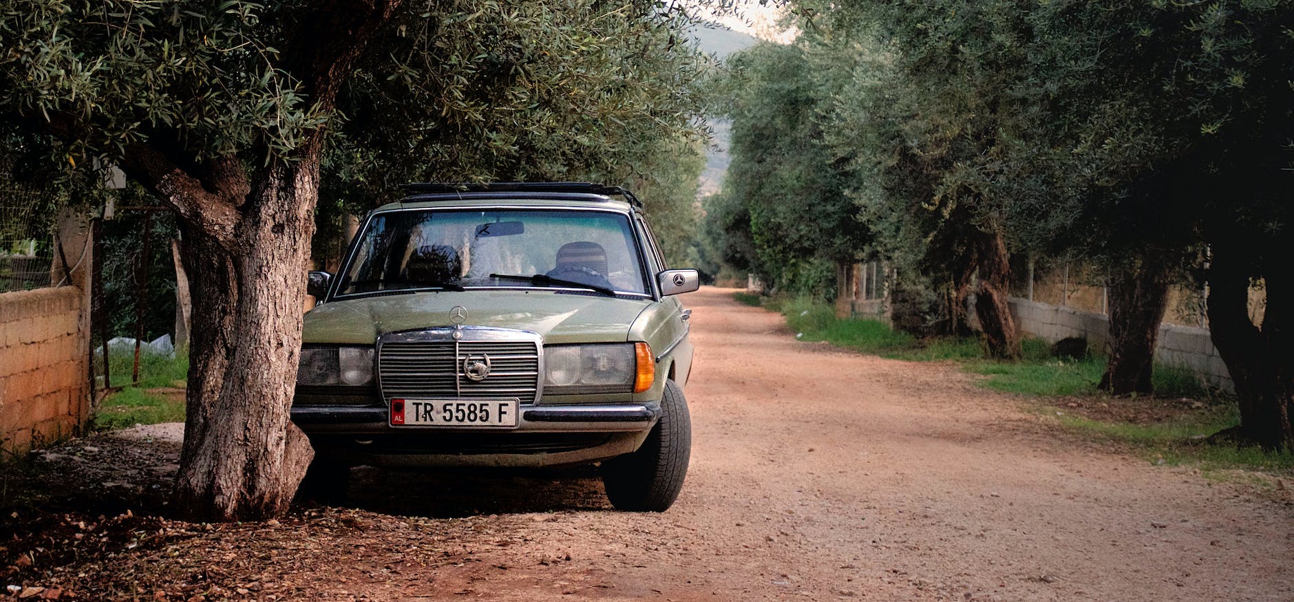 mercedes benz w123 verte garee pres de l arbre