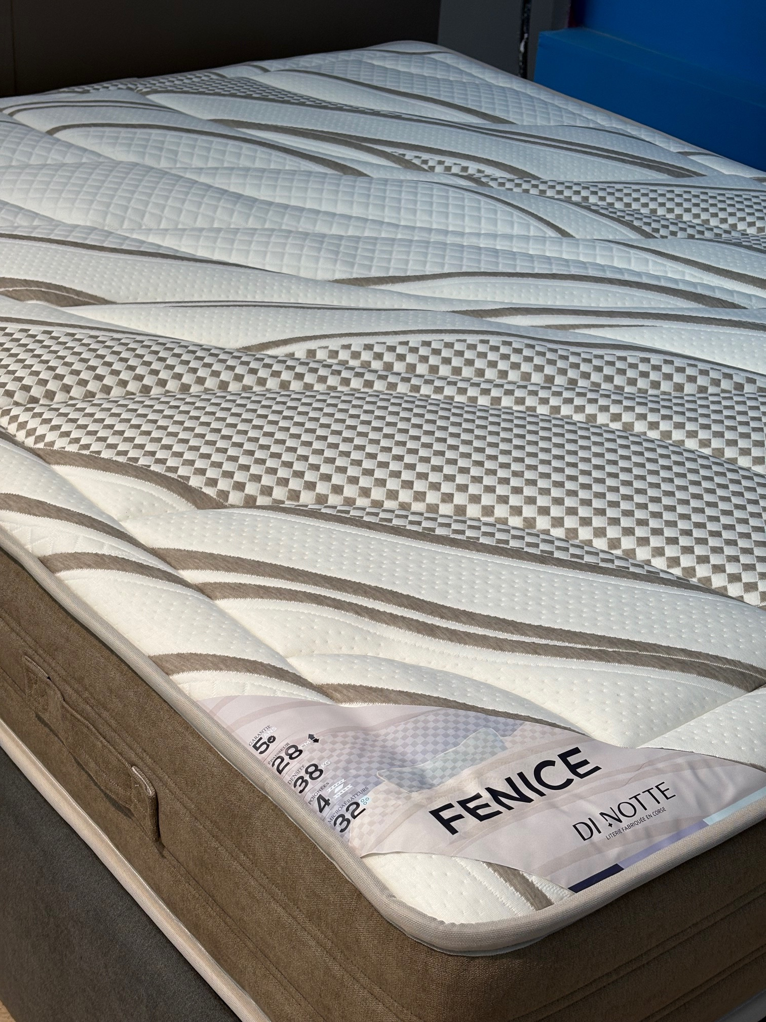Fenice1