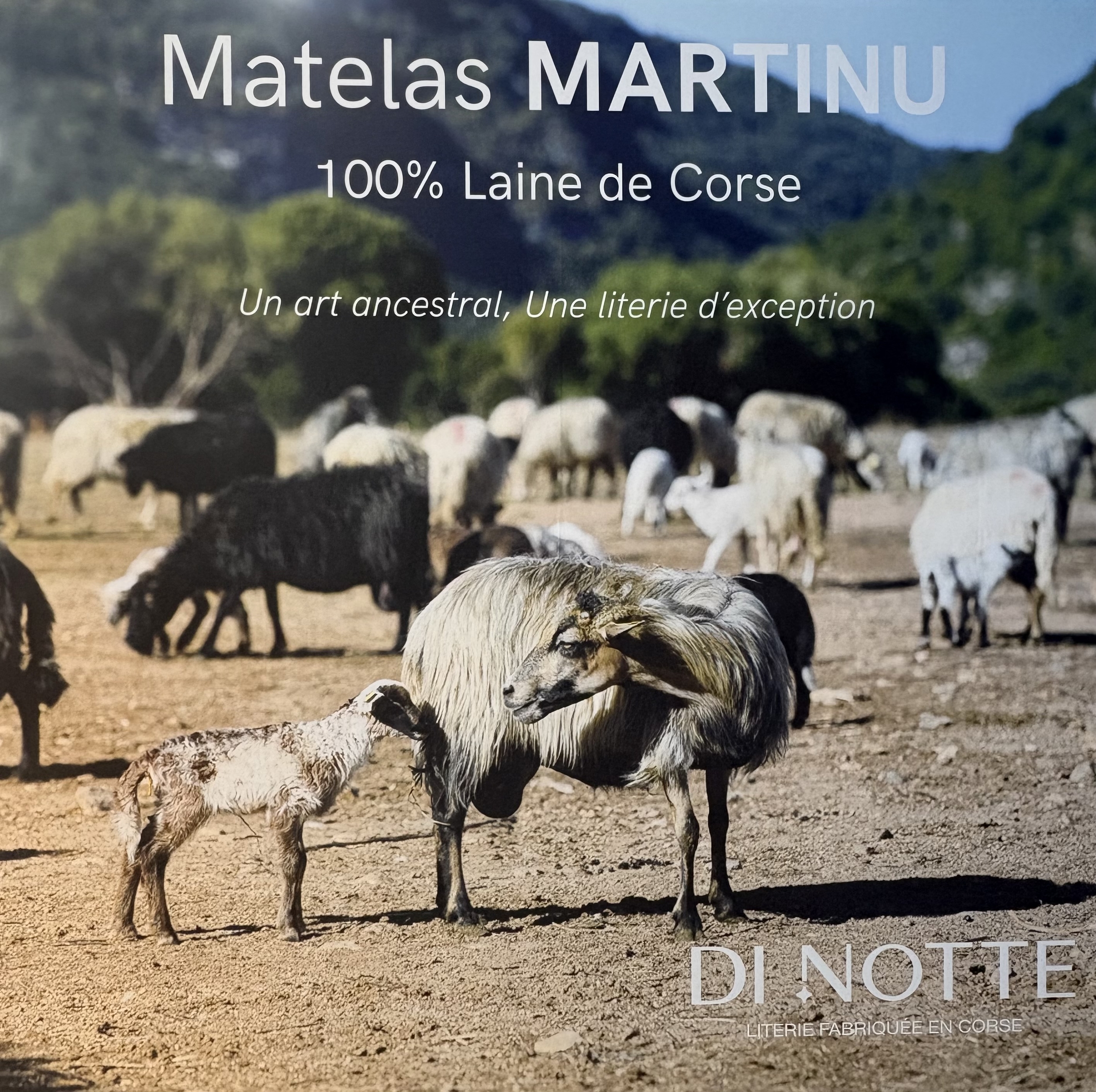 PLV Martinu