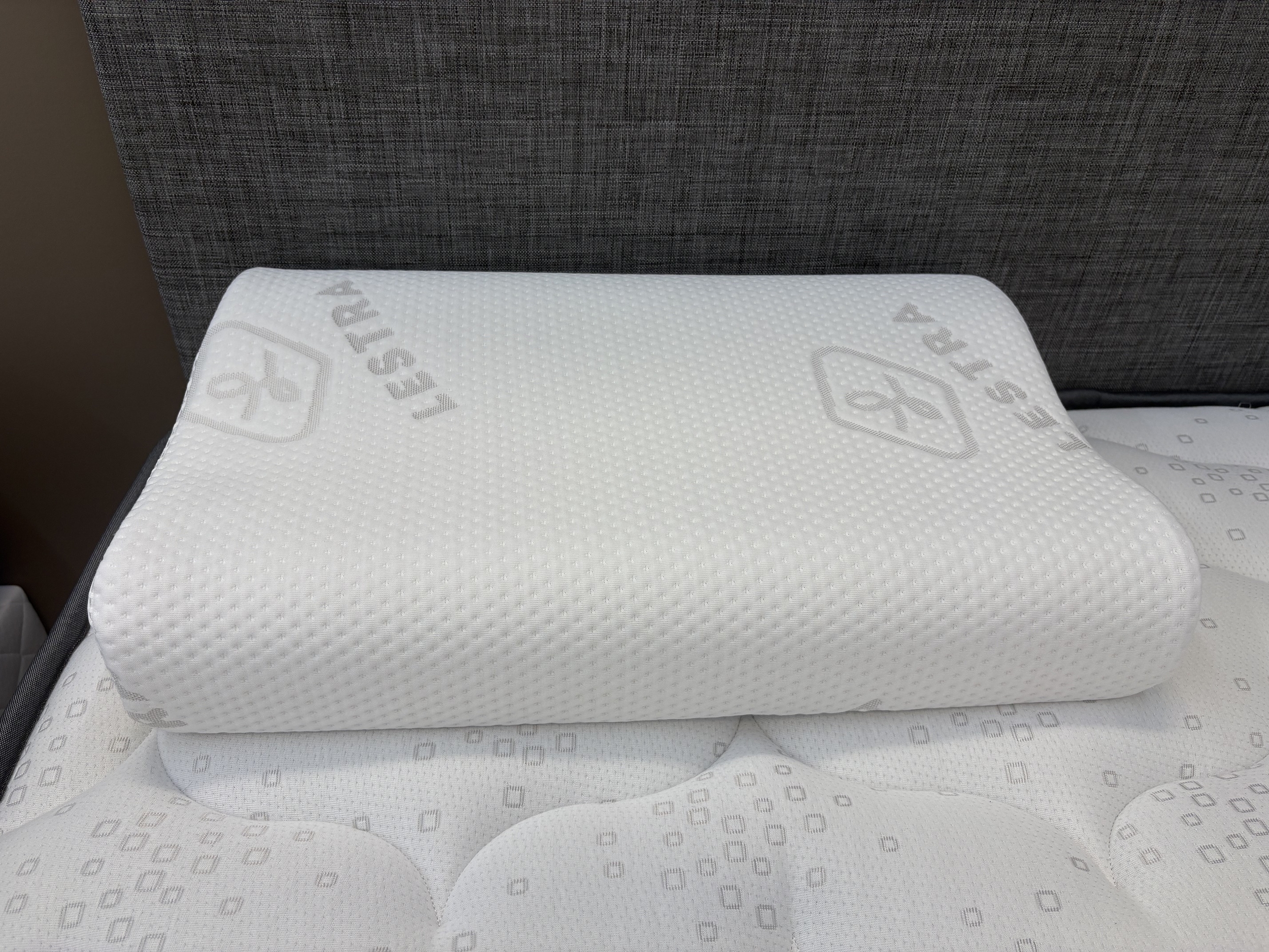 Ergo médium2