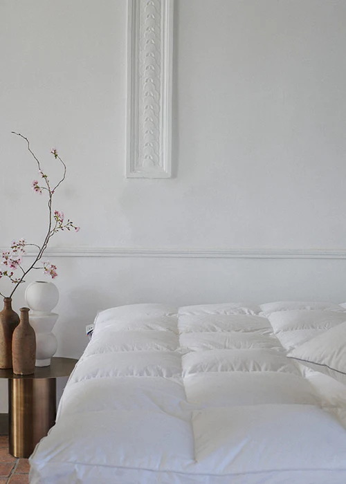 Surmatelas Renote plus