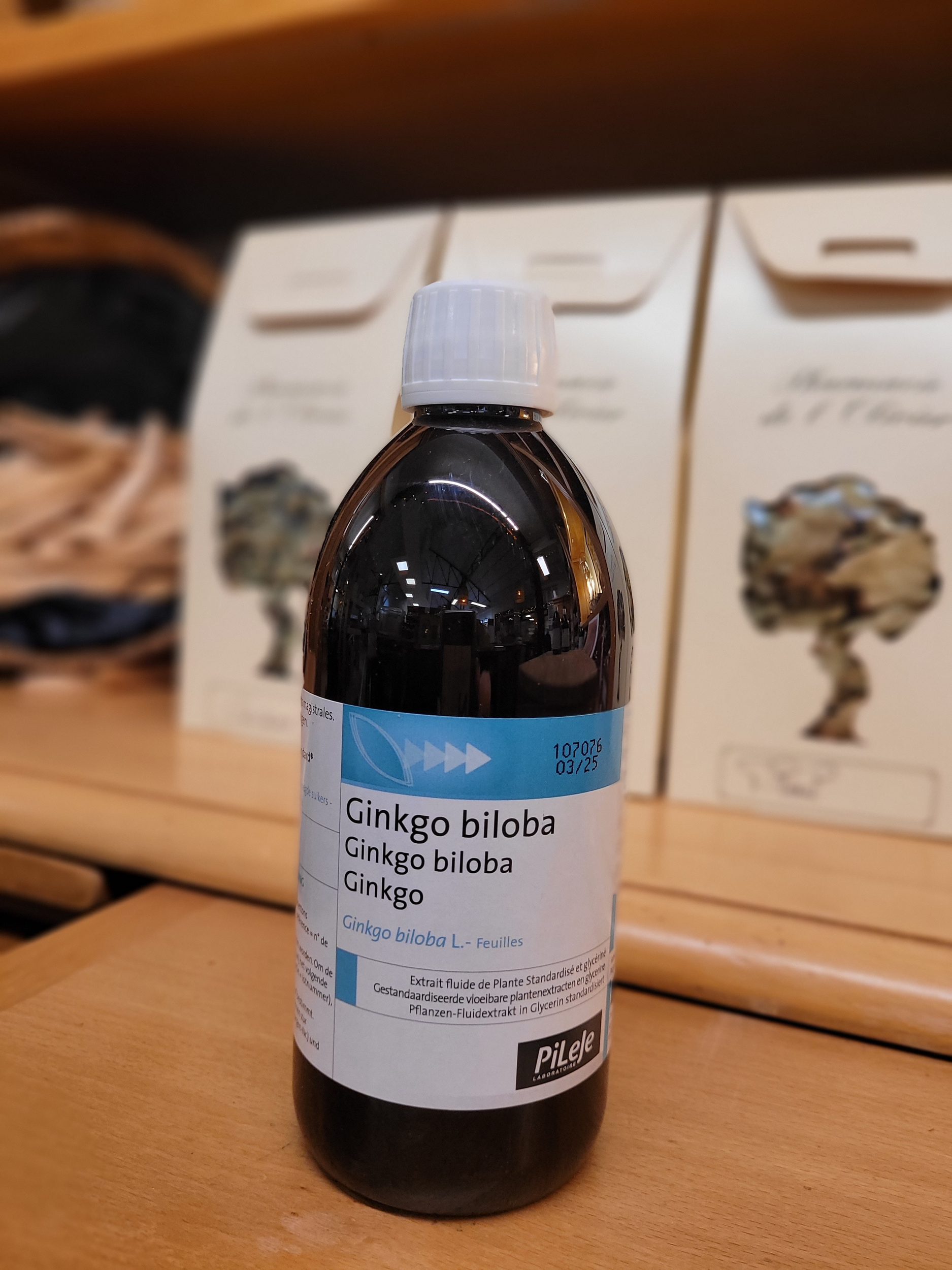 ginkgo biloba
