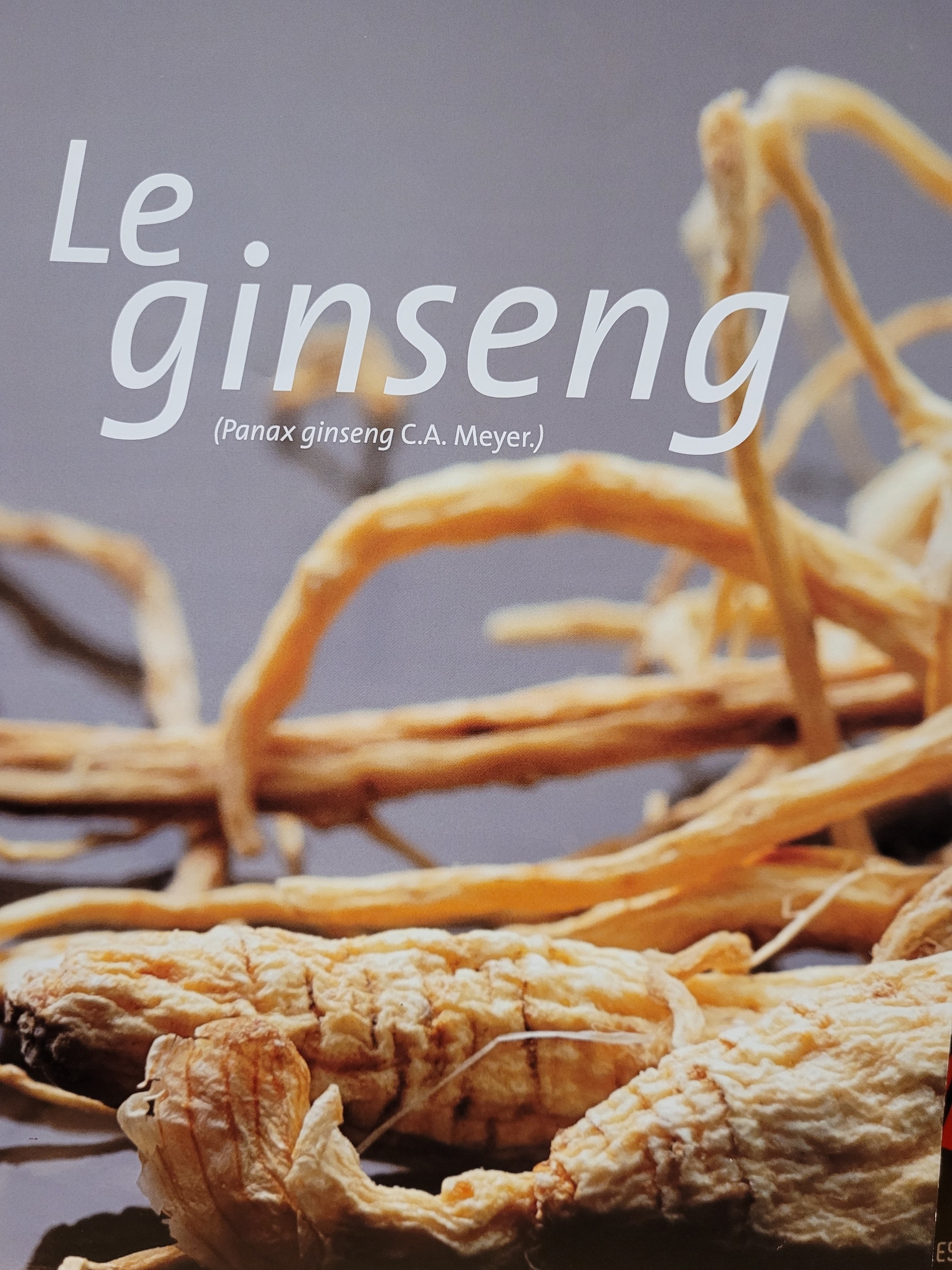 ginseng photo