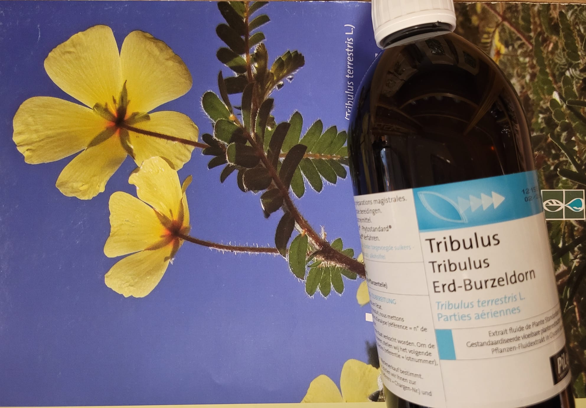tribulus EPS
